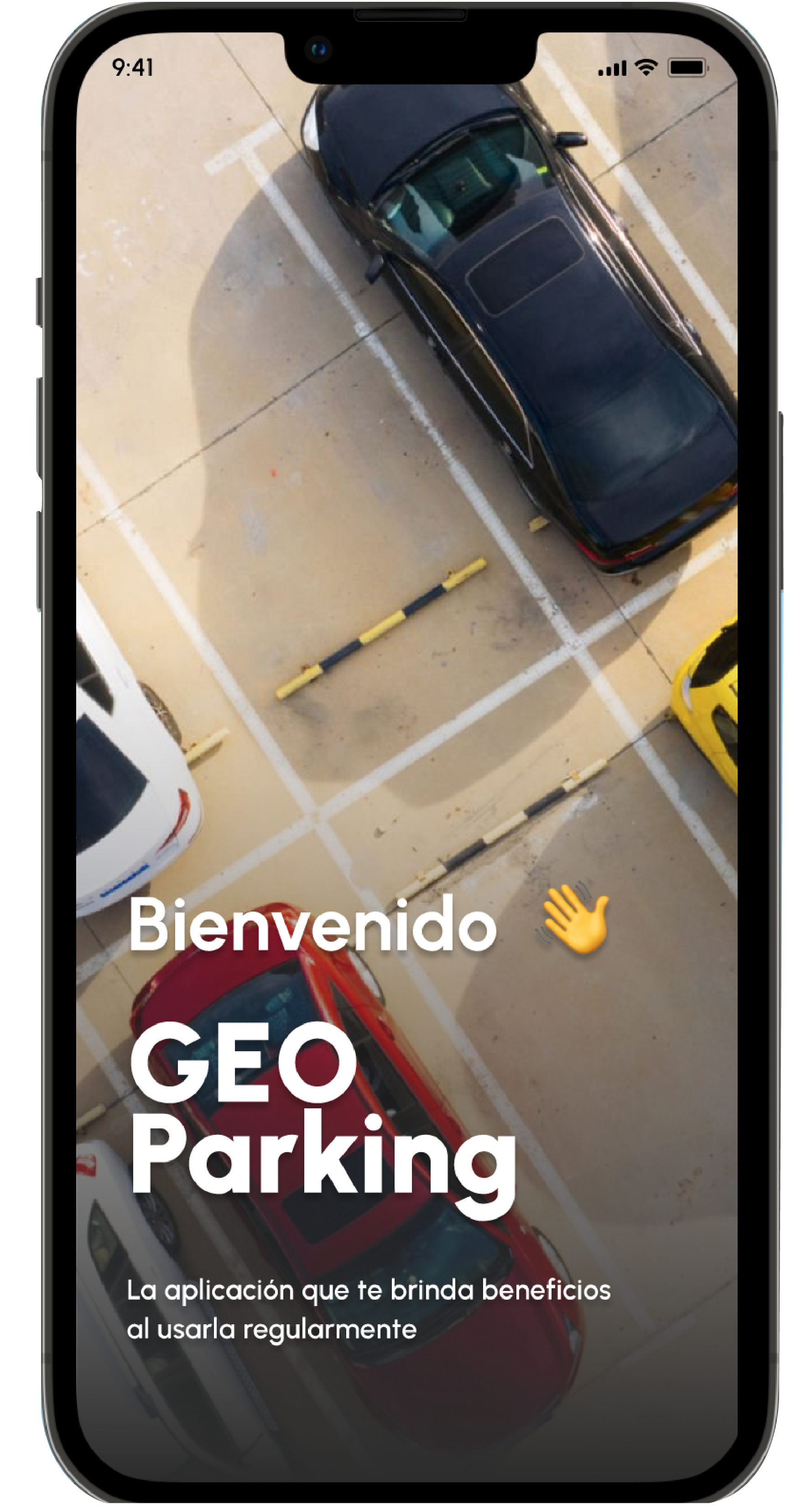 desarrollo de software Geoparking
